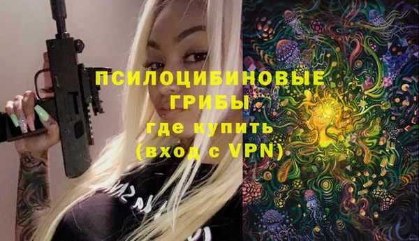 дживик Вязники