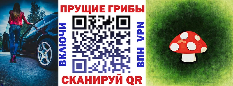 Псилоцибиновые грибы Cubensis  где продают наркотики  ОМГ ОМГ рабочий сайт  Ангарск 